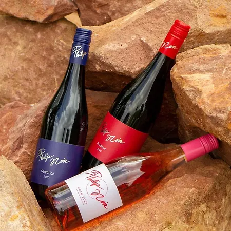 Hotel Philip Noir Révfülöp