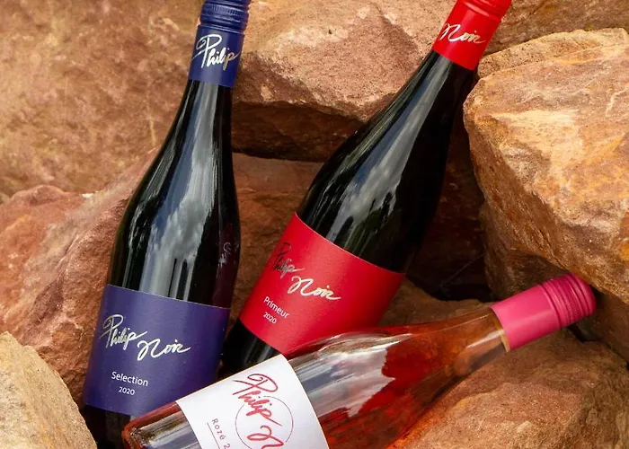 Hotel Philip Noir Revfulop